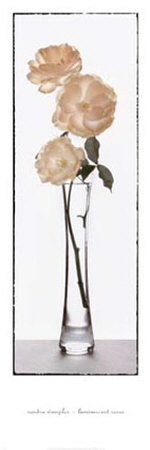Luminescent Roses by Sondra Wampler Pricing Limited Edition Print image