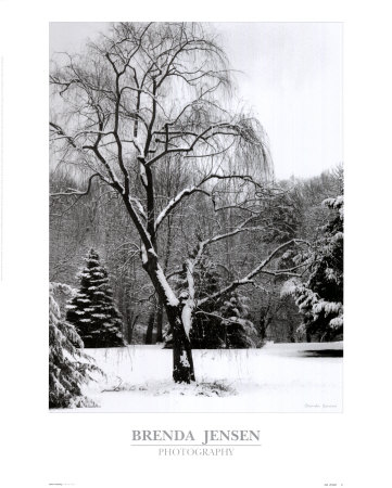 Storm's Passing by Brenda Jensen Pricing Limited Edition Print image