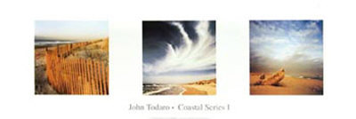 Coastal Series I by John Todaro Pricing Limited Edition Print image