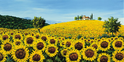 Girasoli Sul Pendio by Tebo Marzari Pricing Limited Edition Print image