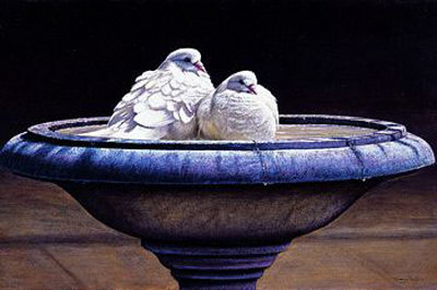 Bird Bath by Dr. Jeremy Paul Pricing Limited Edition Print image