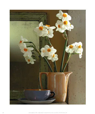 Narcissus by Adele Gold Pricing Limited Edition Print image