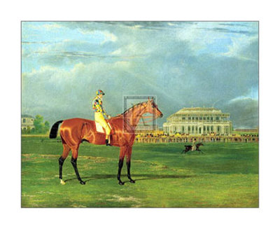 Memnon With William Scott Up by John Frederick Herring I Pricing Limited Edition Print image