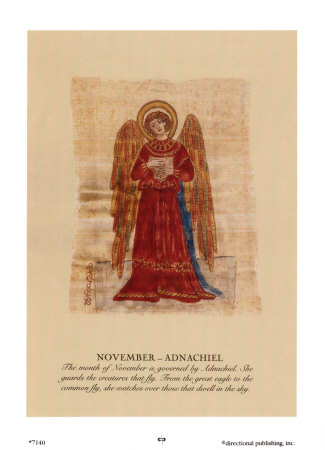 November-Adnachiel by Carol Mccrady Pricing Limited Edition Print image