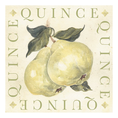 Quince by Michael Alexander Pricing Limited Edition Print image