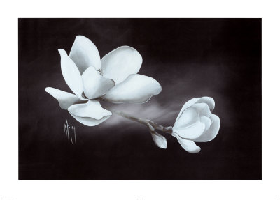 Steel Magnolia by Karen Foley Pricing Limited Edition Print image