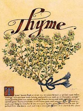 Thyme by Linda Hutchinson Pricing Limited Edition Print image
