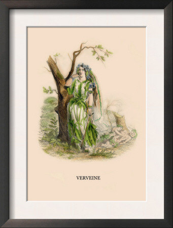 Verveine by J.J. Grandville Pricing Limited Edition Print image