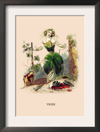 Vigne by J.J. Grandville Pricing Limited Edition Print image