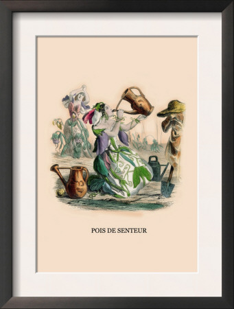 Pois De Senteur by J.J. Grandville Pricing Limited Edition Print image