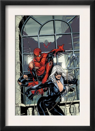 Marvel Knights Spider-Man #4 Cover: Spider-Man And Black Cat by Terry Dodson Pricing Limited Edition Print image