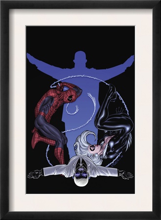 The Amazing Spider-Man #621 Cover: Spider-Man, Black Cat And Mr. Negative by Ed Mcguiness Pricing Limited Edition Print image