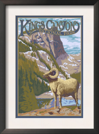 Kings Canyon Nat'l Park - Big Horn Sheep - Lp Poster, C.2009 by Lantern Press Pricing Limited Edition Print image