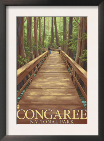 Congaree National Park - Walkway, C.2009 by Lantern Press Pricing Limited Edition Print image