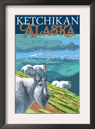Ketchikan, Alaska - Goats On Deer Mountain, C.2009 by Lantern Press Pricing Limited Edition Print image