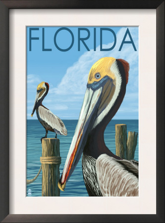 Brown Pelicans - Florida, C.2008 by Lantern Press Pricing Limited Edition Print image
