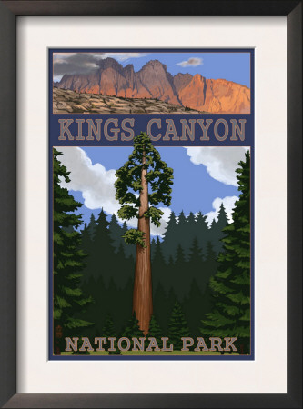 Kings Canyon Nat'l Park - General Sherman Tree - Lp Poster, C.2009 by Lantern Press Pricing Limited Edition Print image