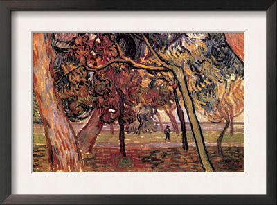 Study Of Pine Trees by Vincent Van Gogh Pricing Limited Edition Print image