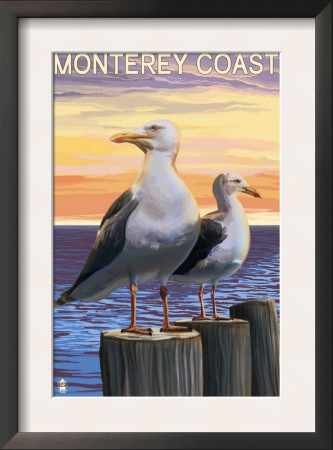 Monterey Coast, California - Sea Gulls, C.2009 by Lantern Press Pricing Limited Edition Print image