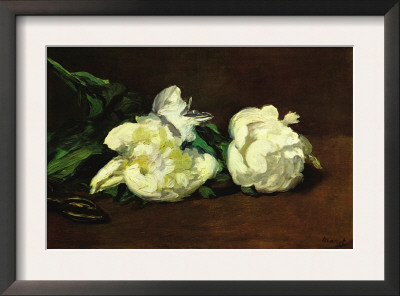 Still Life, White Peony by Édouard Manet Pricing Limited Edition Print image