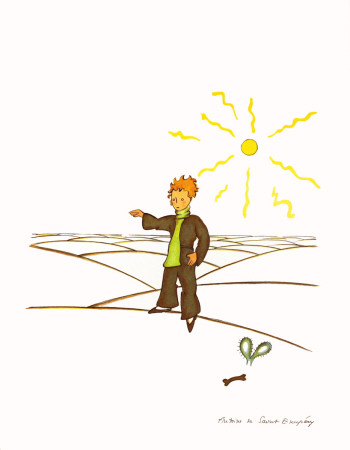 Petit Prince Dans Le Desert by Antoine De Saint-Exupery Pricing Limited Edition Print image