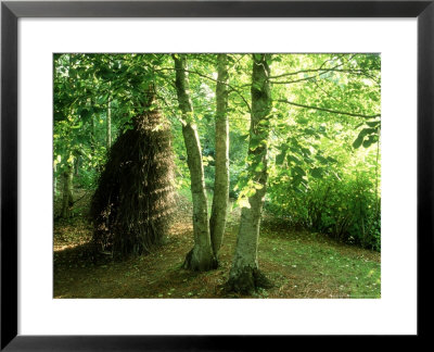 Contemporary Sculpture, Woven Wigwam In Woodland by Mark Bolton Pricing Limited Edition Print image