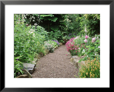 Gravel Path, View To Border Dactylorhiza, Dianthus, Lamium Rosa, Geranium, Digitalis Tasmania by Christopher Fairweather Pricing Limited Edition Print image