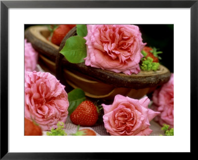 Small Wooden Trug With Pink Climbing Rosa (Rose) Aloha And Strawberries by James Guilliam Pricing Limited Edition Print image