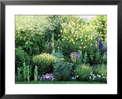 Mixed Border, Oxfordshire by Sunniva Harte Pricing Limited Edition Print image