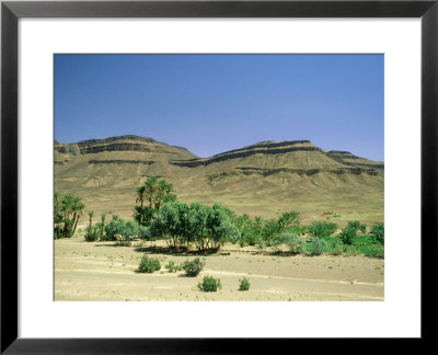 Oasis, Morocco by David Cayless Pricing Limited Edition Print image