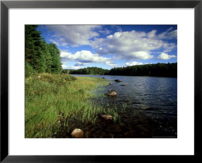 Misty Lake, Canada by David Cayless Pricing Limited Edition Print image