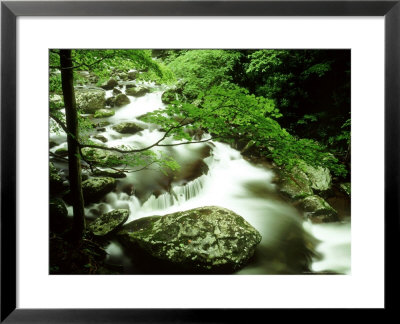 Summer Scene Along Middle Prong Of Little River, Tn by Willard Clay Pricing Limited Edition Print image