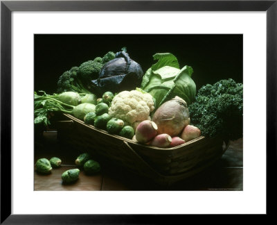 Members Of The Mustard Family, Derived From The Wild Cabbage by David M. Dennis Pricing Limited Edition Print image