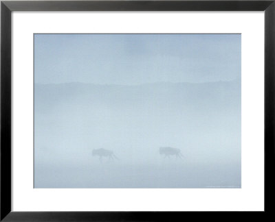 Wildebeest In Dust Storm, Tanzania by Deeble & Stone Pricing Limited Edition Print image
