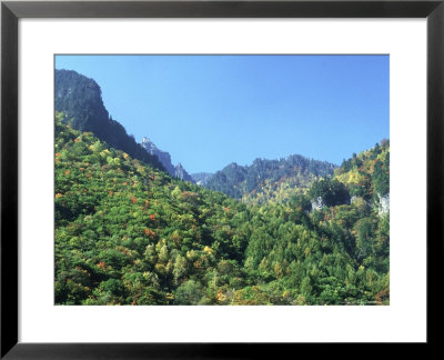 Autumn Colours In Hodaka Mountains, Japan by John Downer Pricing Limited Edition Print image