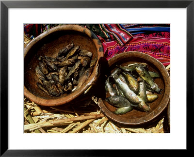 Fish, Uros Islands, Peru by Paul Franklin Pricing Limited Edition Print image