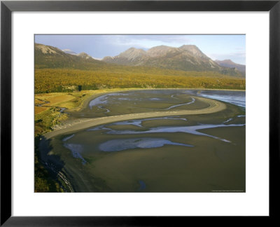 Aerial View Of Hallo Bay, Alaska, Usa by Mark Hamblin Pricing Limited Edition Print image