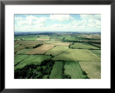 Farmland, Uk by Oxford Scientific Pricing Limited Edition Print image
