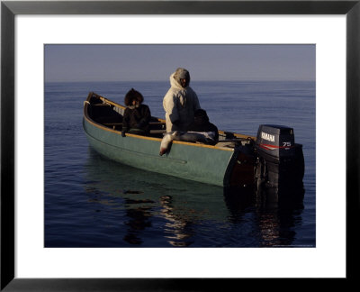 Ringed Seal, Killed By Inuit Hunters, Canada by Gerard Soury Pricing Limited Edition Print image