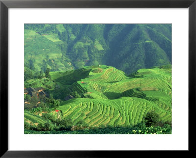Local Village With Rice Terrace, China by Keren Su Pricing Limited Edition Print image