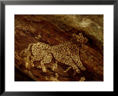 Cheetah, India by Satyendra K. Tiwari Pricing Limited Edition Print image