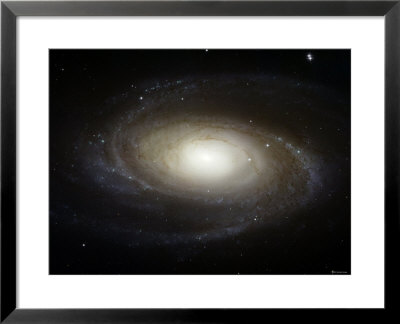 Spiral Galaxy M81 by Stocktrek Images Pricing Limited Edition Print image