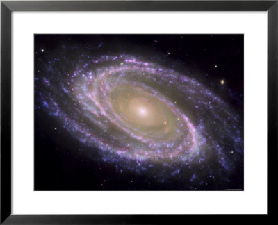 The Spiral Galaxy Known As Messier 81 by Stocktrek Images Pricing Limited Edition Print image
