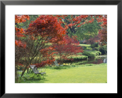 Mount Ushmore Gardens, County Wicklow, Leinster, Republic Of Ireland (Eire) by Michael Busselle Pricing Limited Edition Print image