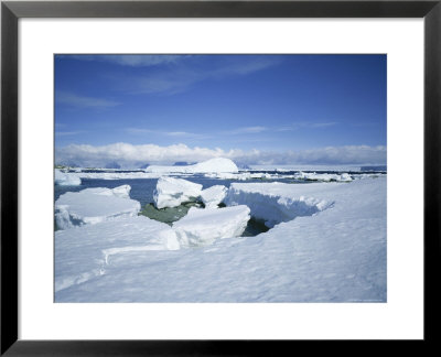 Coastal Landscape, Antarctic Peninsula, Antarctica, Polar Regions by Geoff Renner Pricing Limited Edition Print image