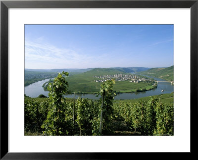 Vineyard Near Trittenheim, Mosel Valley, Rheinland-Pfalz (Rhineland-Palatinate), Germany by Hans Peter Merten Pricing Limited Edition Print image