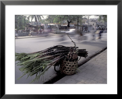 Selling Sugar Cane, Vietnam by Keren Su Pricing Limited Edition Print image