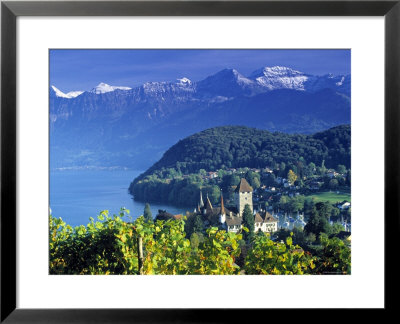 Spiez, Lake Thun, Switzerland by Peter Adams Pricing Limited Edition Print image
