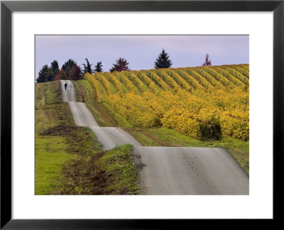 Couple Walking In Vineyard, King Estate Winery, Eugene, Oregon by Janis Miglavs Pricing Limited Edition Print image