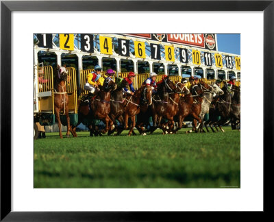 Start Of Horse Race, Sydney, New South Wales, Australia by Oliver Strewe Pricing Limited Edition Print image